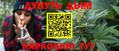 СК Кингисепп