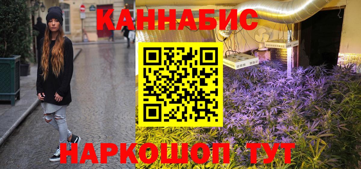 Каннабис планчик Салехард